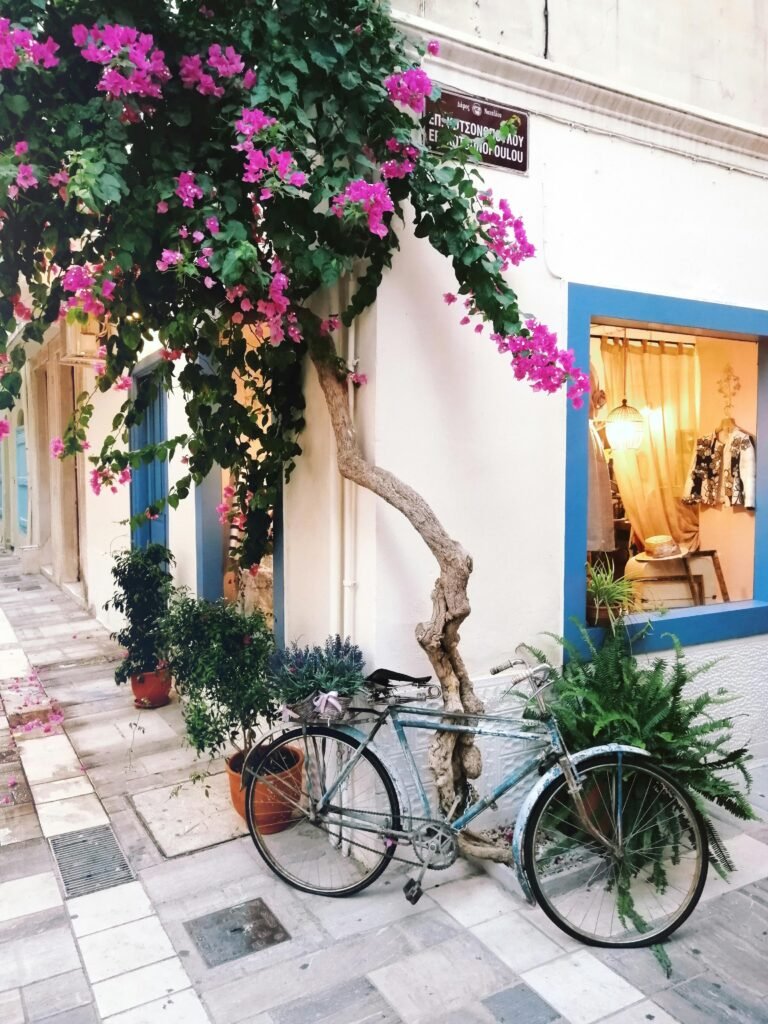 Picturesque street scene with a bicycle parked under vibrant bougainvillea.